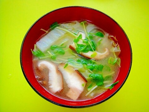 白菜と椎茸豆苗の味噌汁